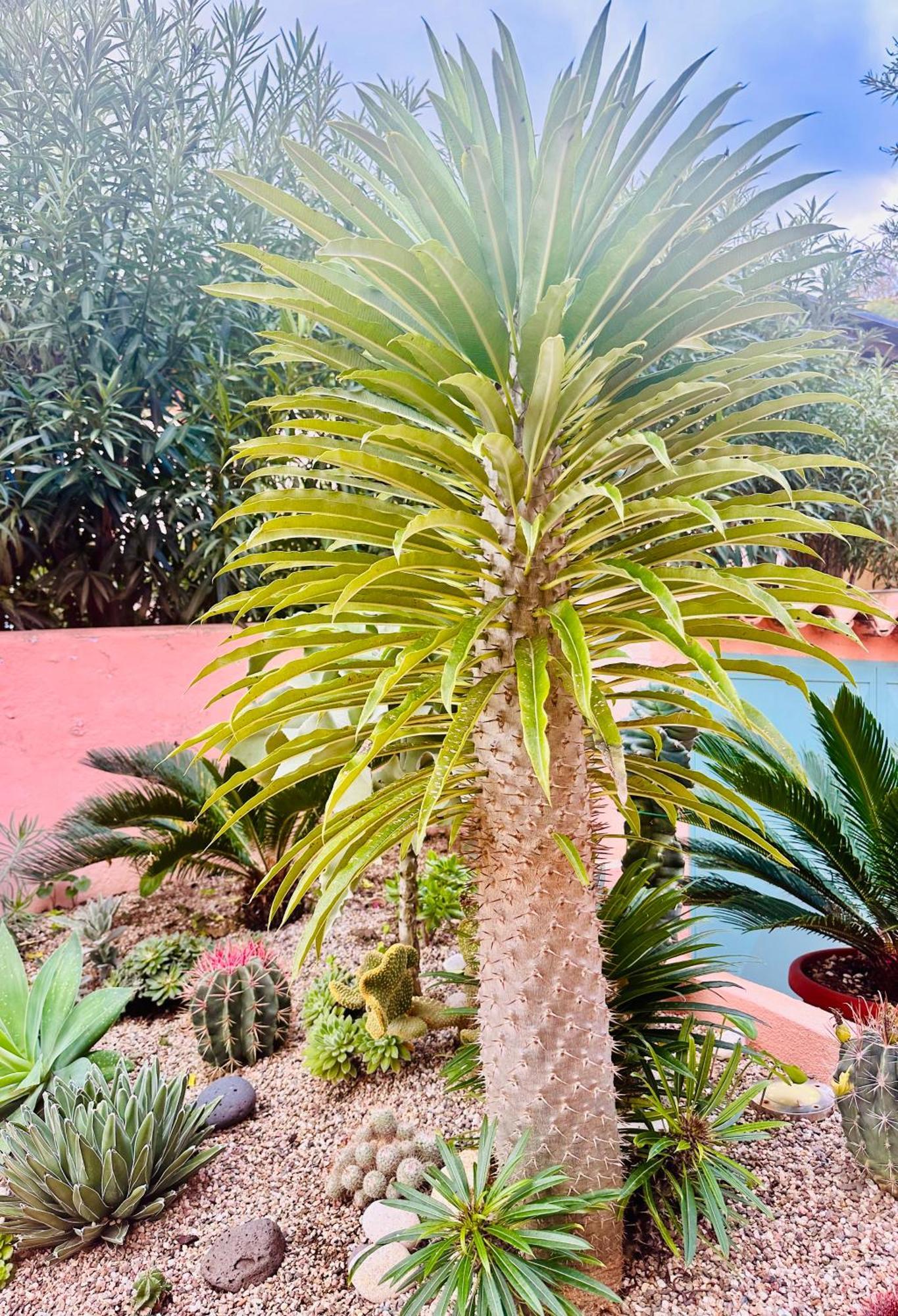 Il Giardino Davanti Al Mare Orosei Exterior foto